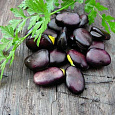 Бобы овощные Русские черные