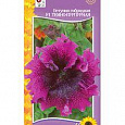Петуния Гибридная крупноцветковая Триумф f1 темно-пурпурная